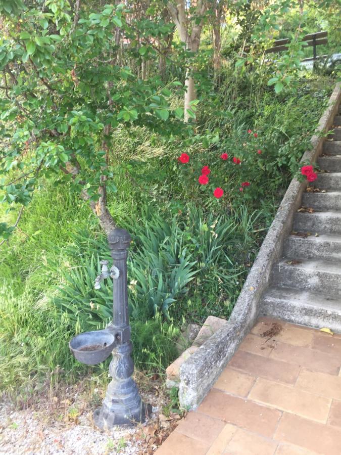 Green B&B Urbino Ca Del Vento Zewnętrze zdjęcie