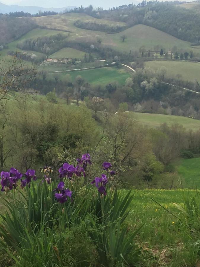 Green B&B Urbino Ca Del Vento Zewnętrze zdjęcie