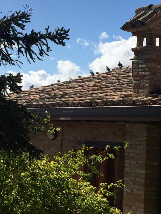 Green B&B Urbino Ca Del Vento Zewnętrze zdjęcie