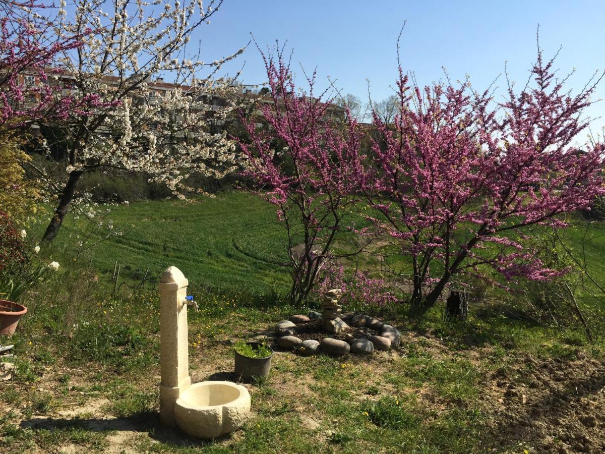 Green B&B Urbino Ca Del Vento Zewnętrze zdjęcie
