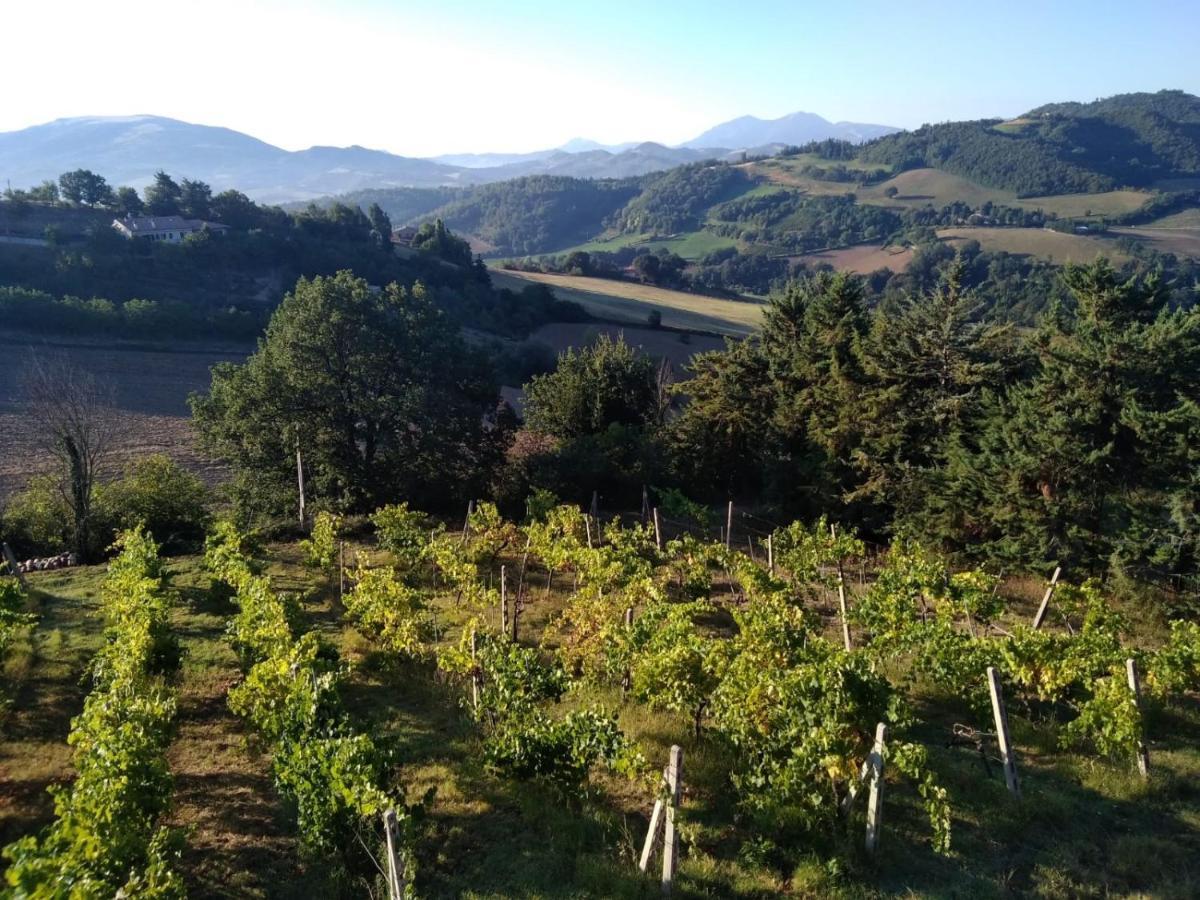Green B&B Urbino Ca Del Vento Zewnętrze zdjęcie