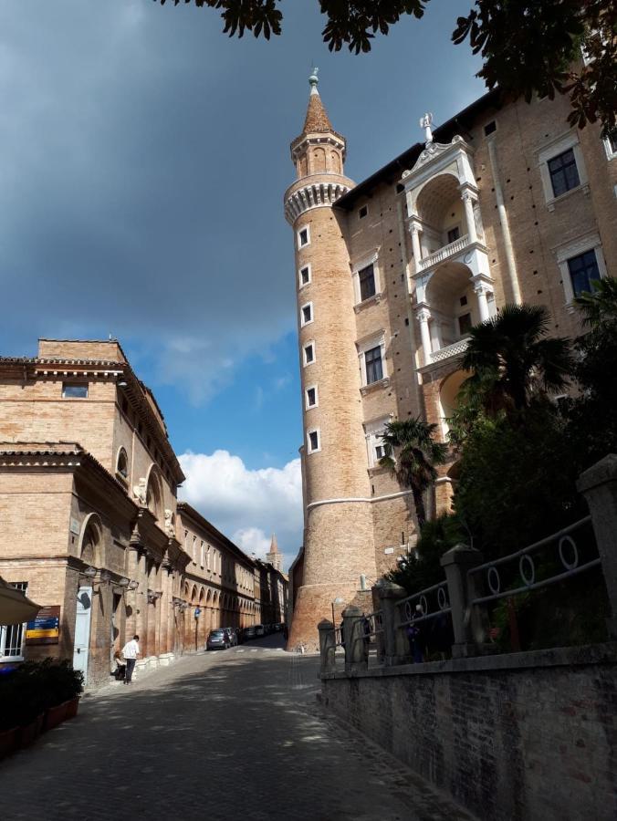 Green B&B Urbino Ca Del Vento Zewnętrze zdjęcie
